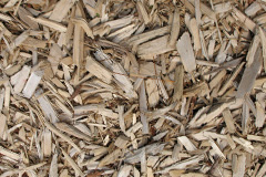 biomass boilers Craigentinny