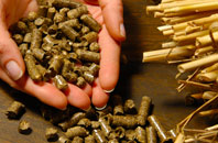 free Craigentinny biomass boiler quotes