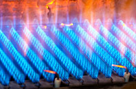 Craigentinny gas fired boilers